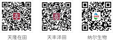 bb平台体育app官网微信公众号